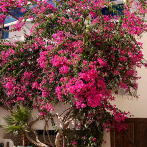 Naxos Griechenland